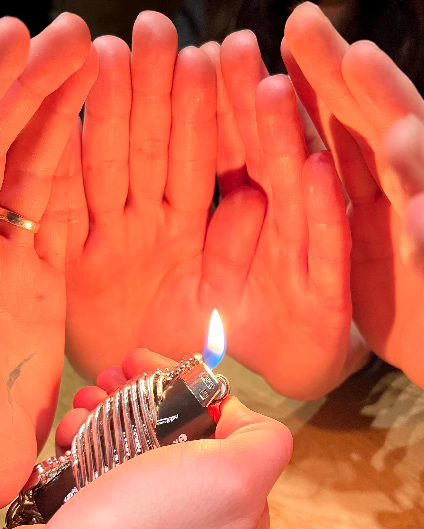 Ribcage Lighter Case
