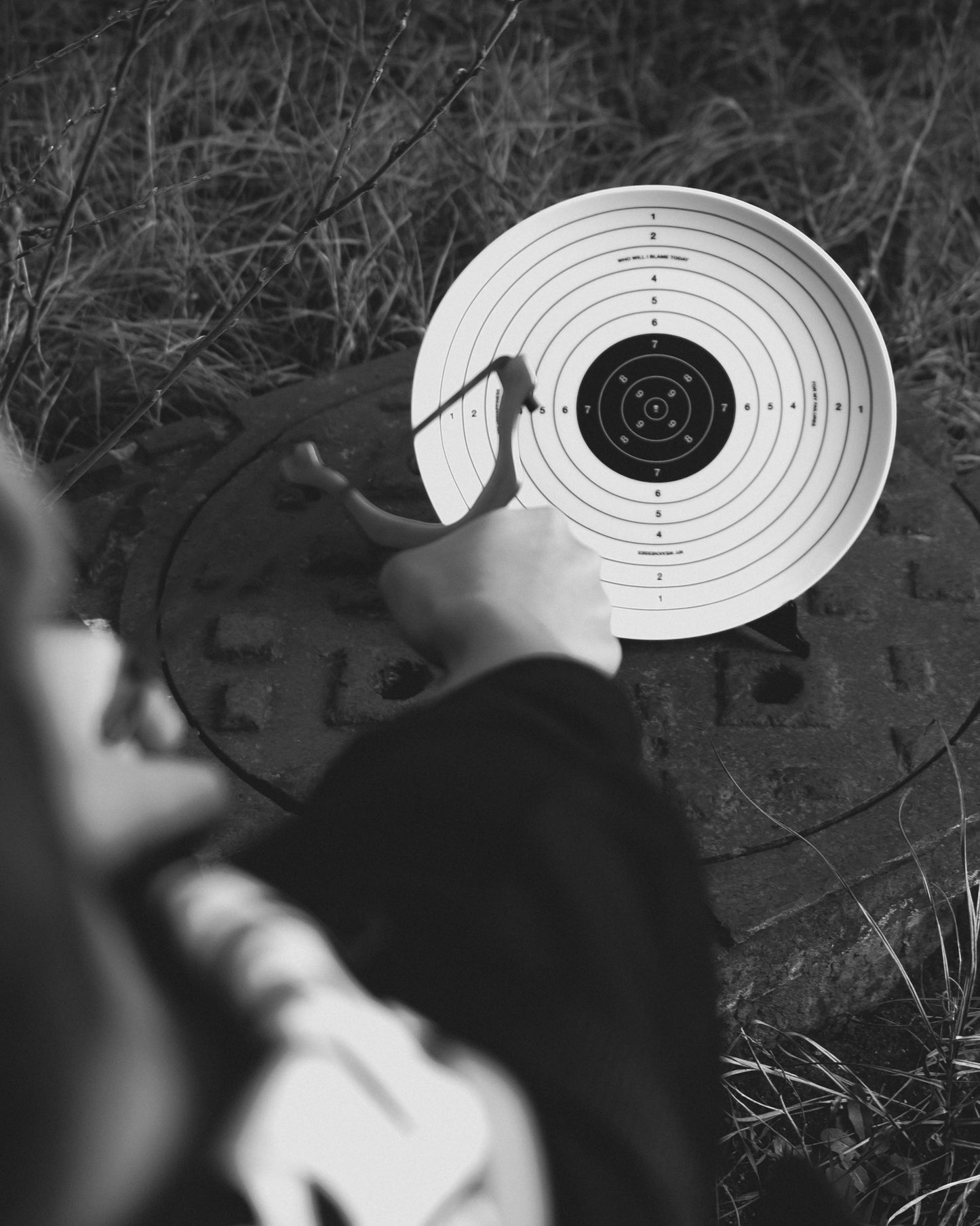 Bullseye Plate