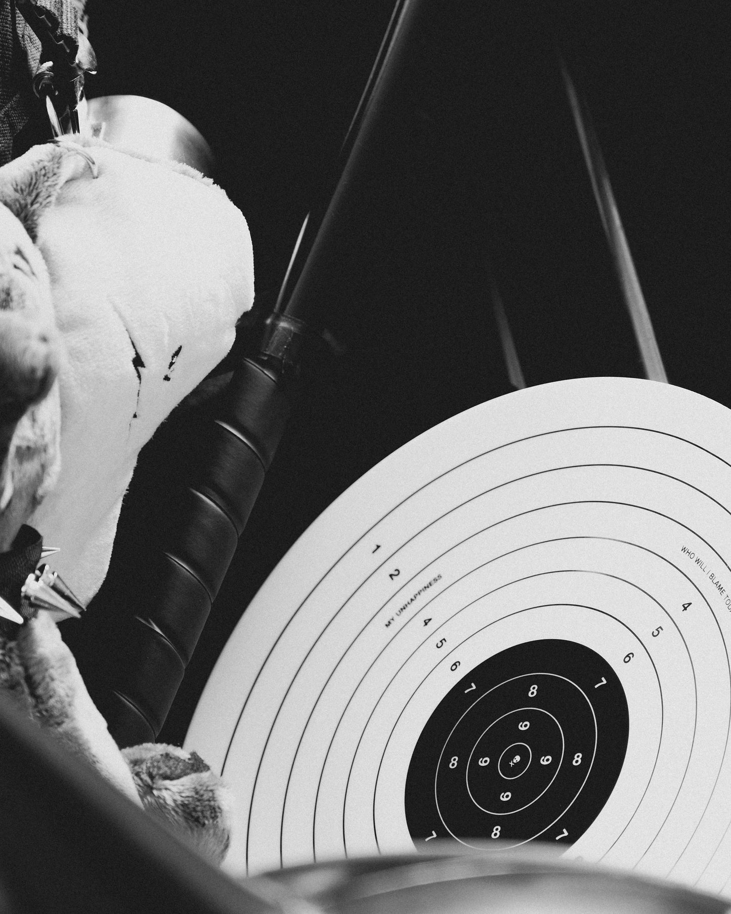 Bullseye Plate