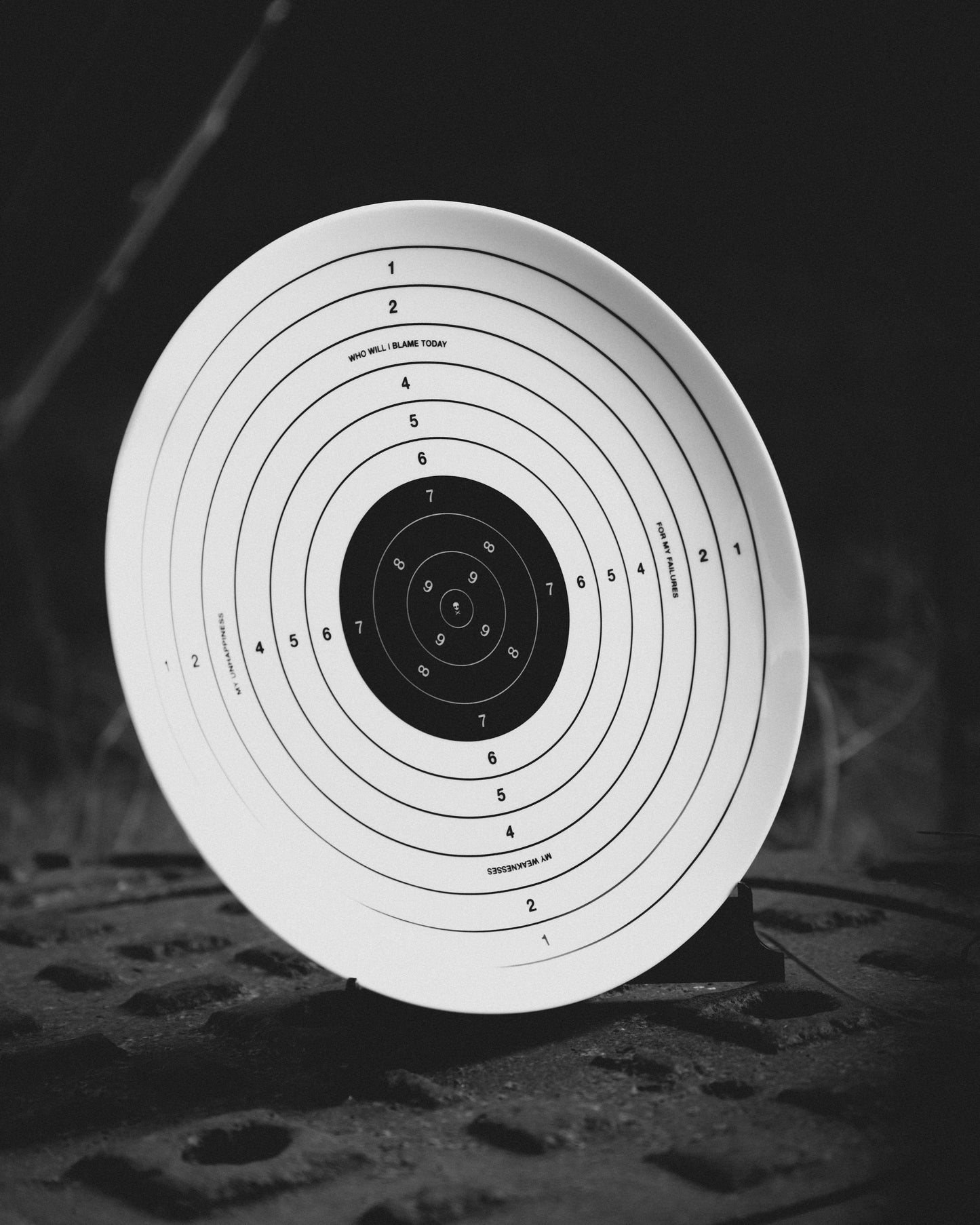Bullseye Plate
