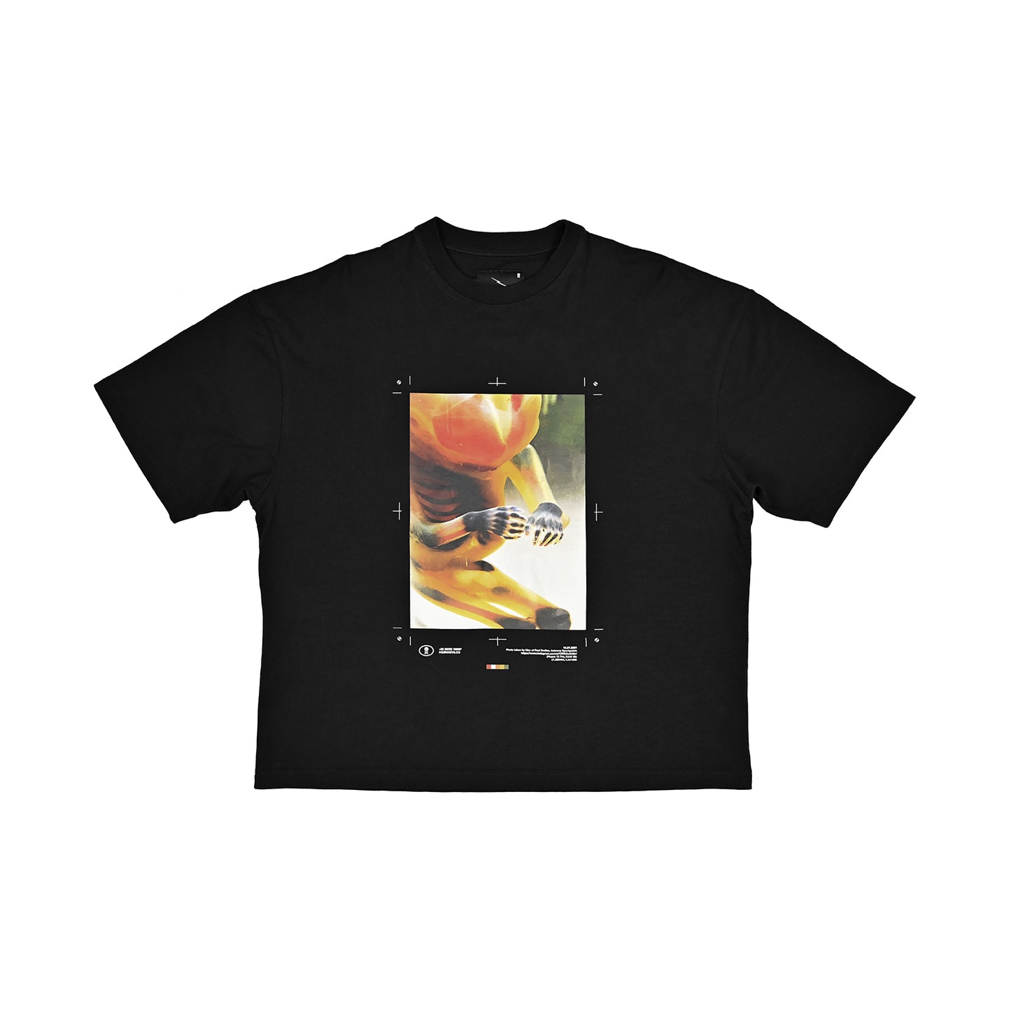 Translucent T-shirt