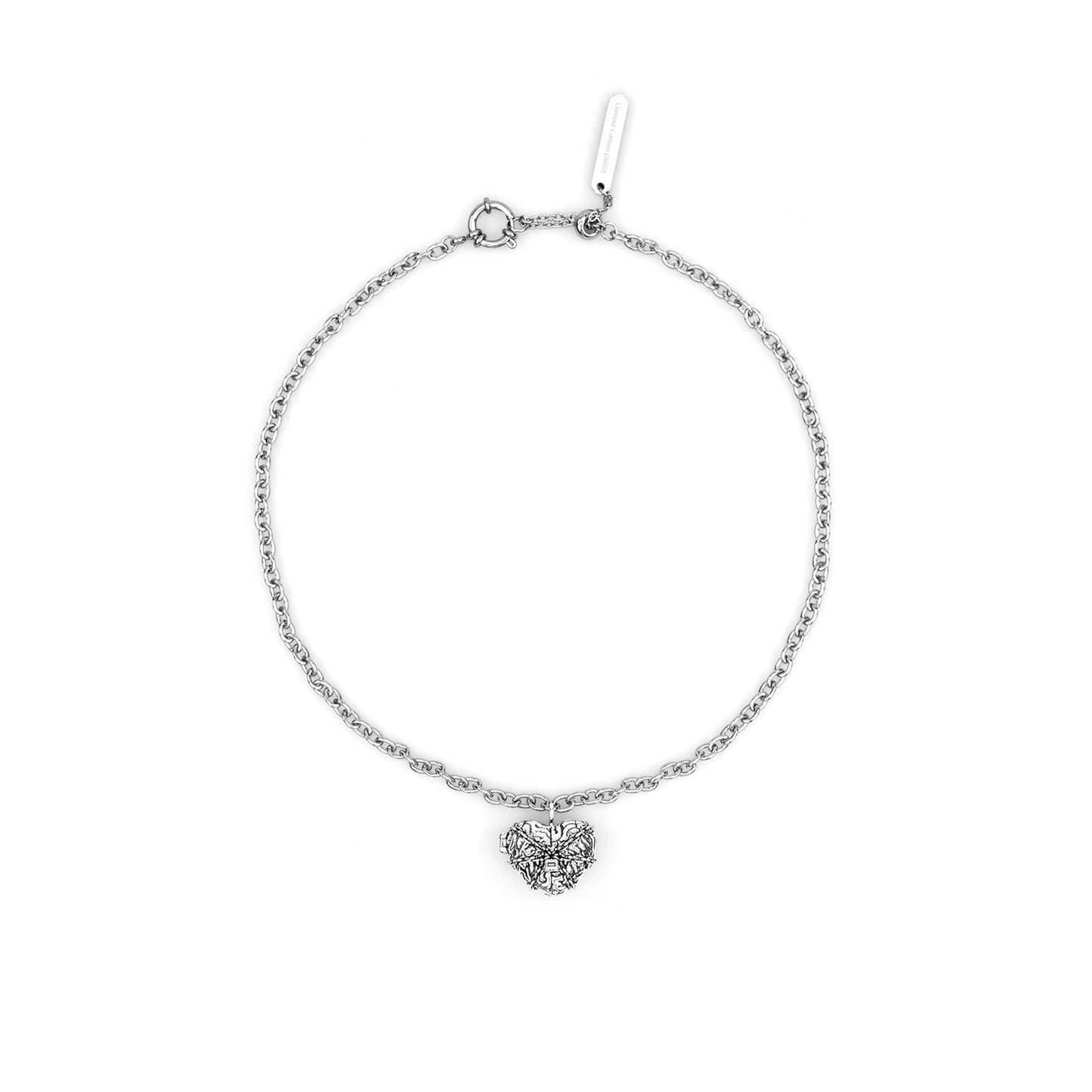 Brain Heart Locket