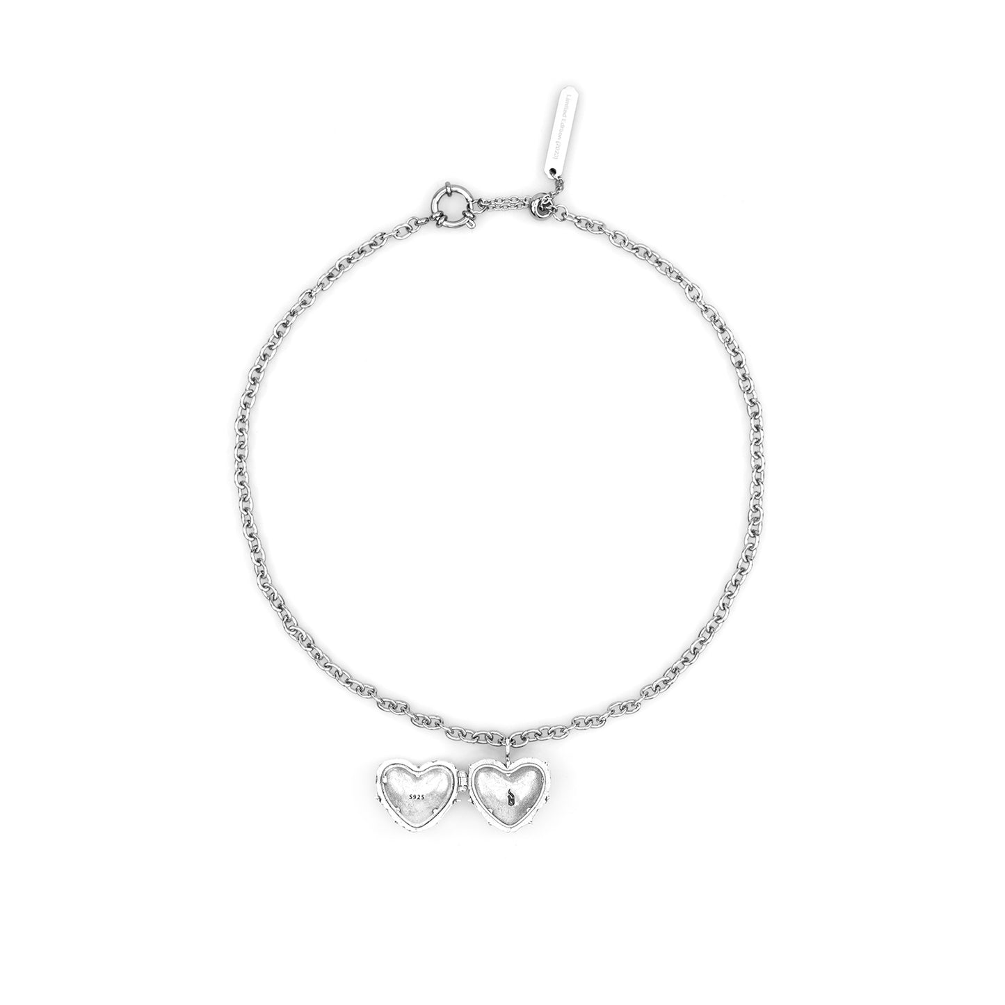 Brain Heart Locket