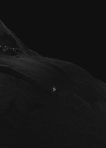 Ribcage Lighter Case 2.0