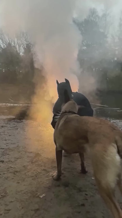 Malinois 4.0 Hoodie