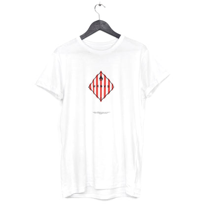 HAZMAT 4.1
